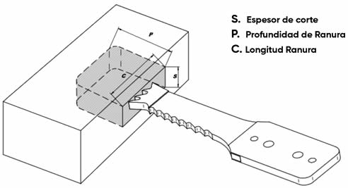 bedanos-especiales-hss-md-esquema